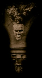 Lost in a black paradise