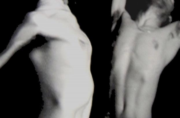 Suaires de Véronique