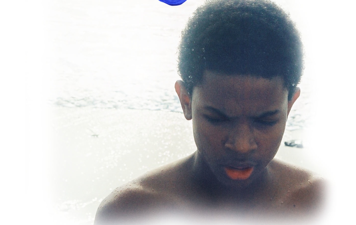 Albert! Or, My Life in the Ocean