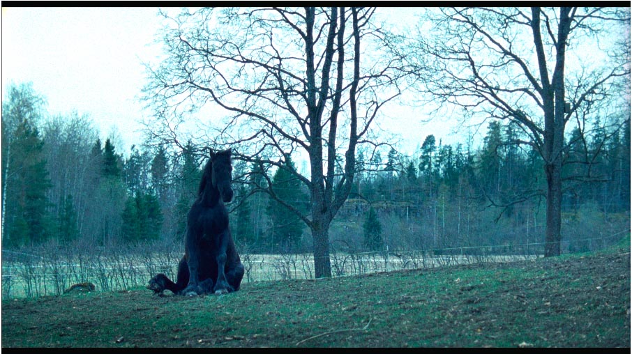 Ridestar