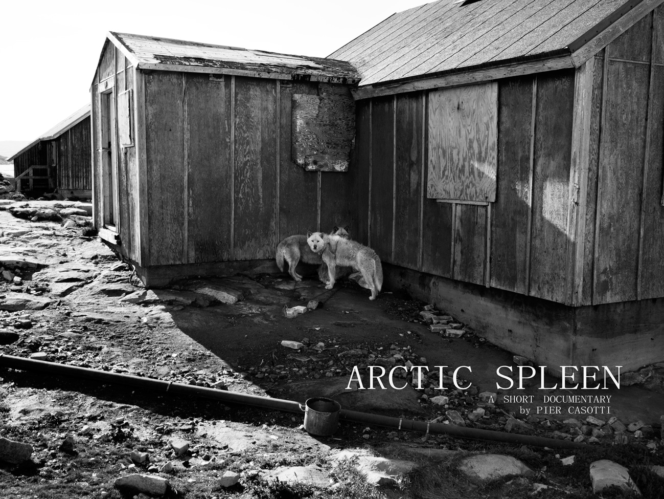 Arctic Spleen