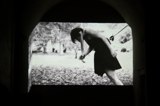 Parcours acide du papillon