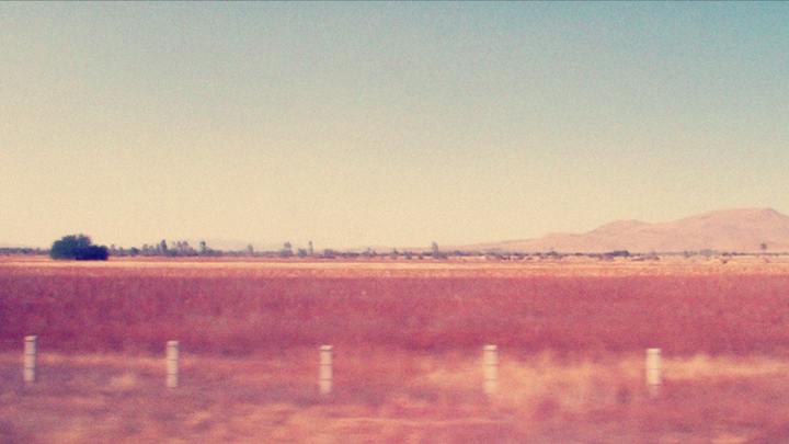 Contigo quero dividir minha solidão