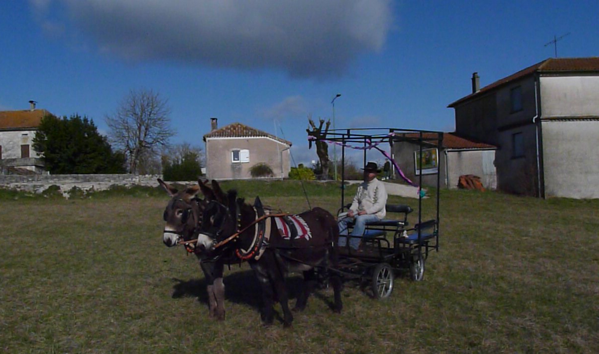 Portrait of Emeric Paul as Vigo