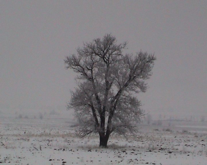 Malgré le froid dehors