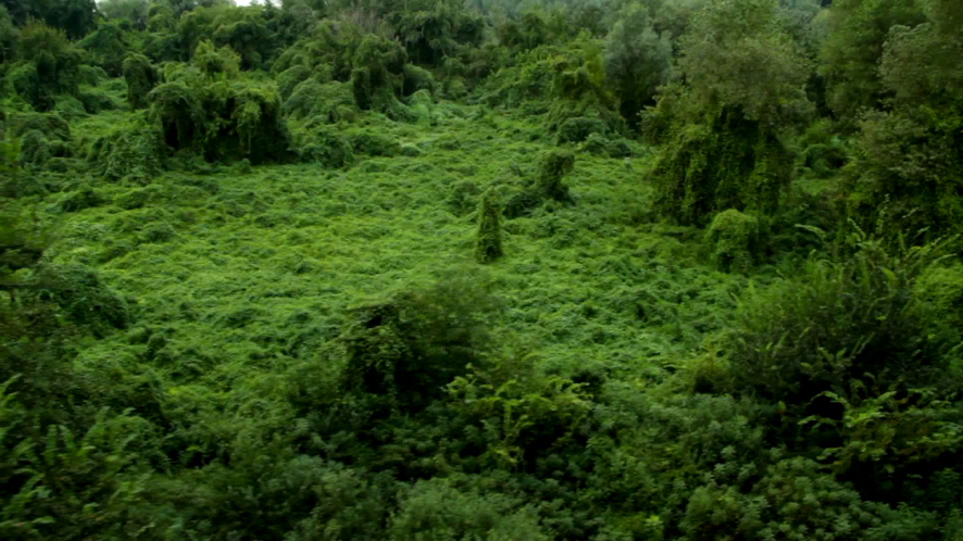 We are not living in a fucking hospital