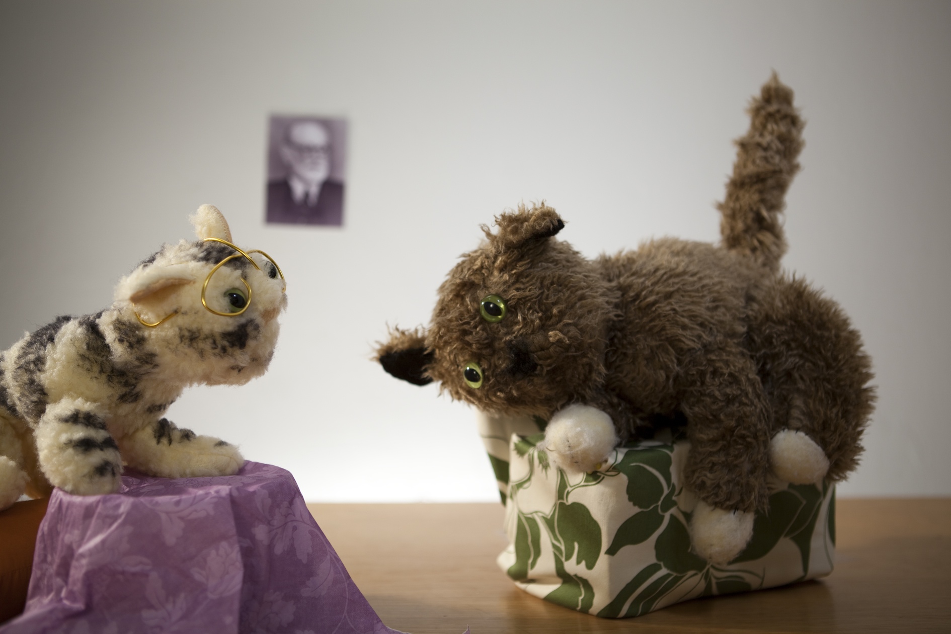 Therapy Animal Marriage. Scenes from Animal Marriage.