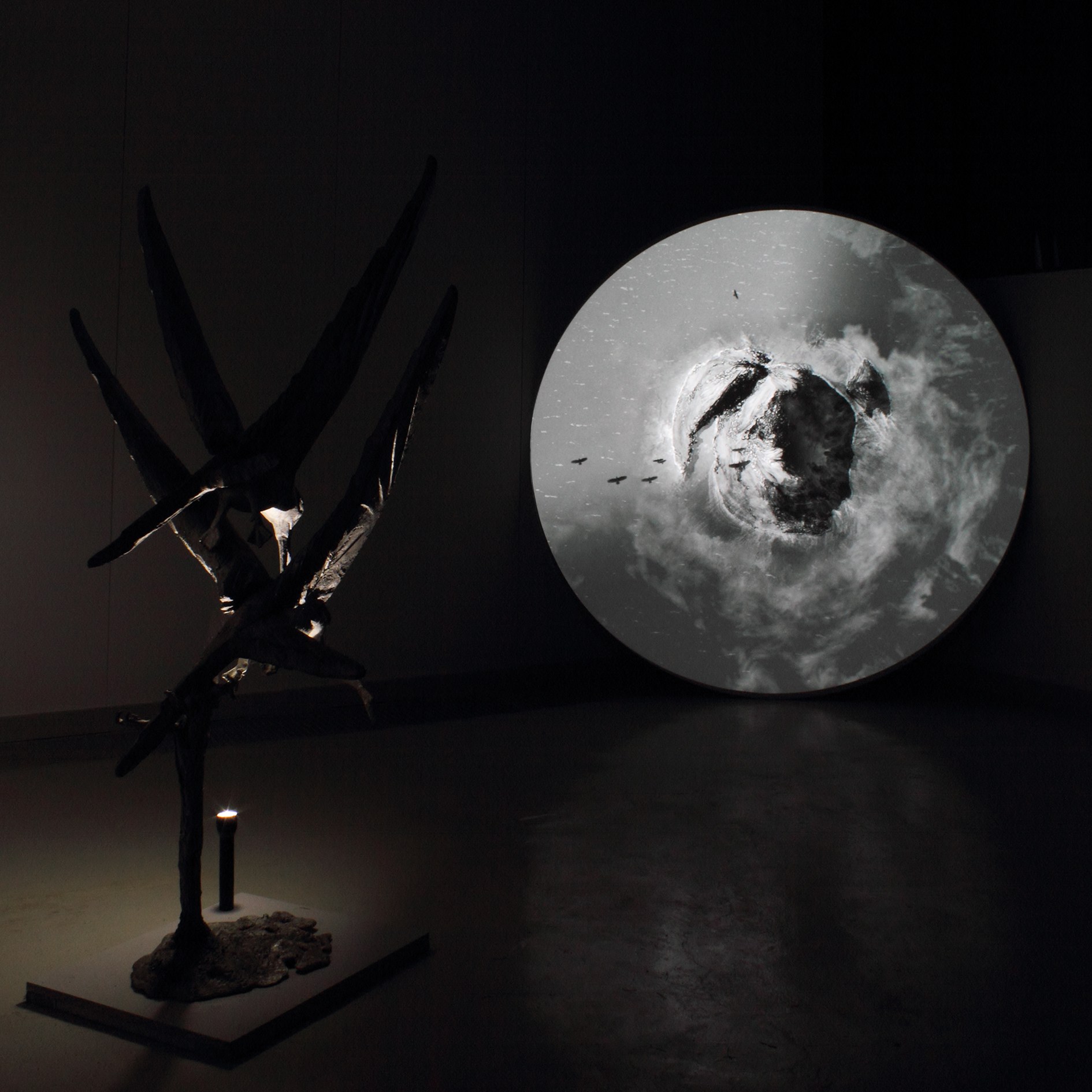 Theses on the Body Politic (colony)