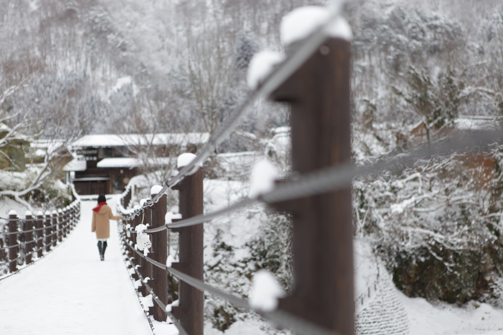 Last Fragments of Winter