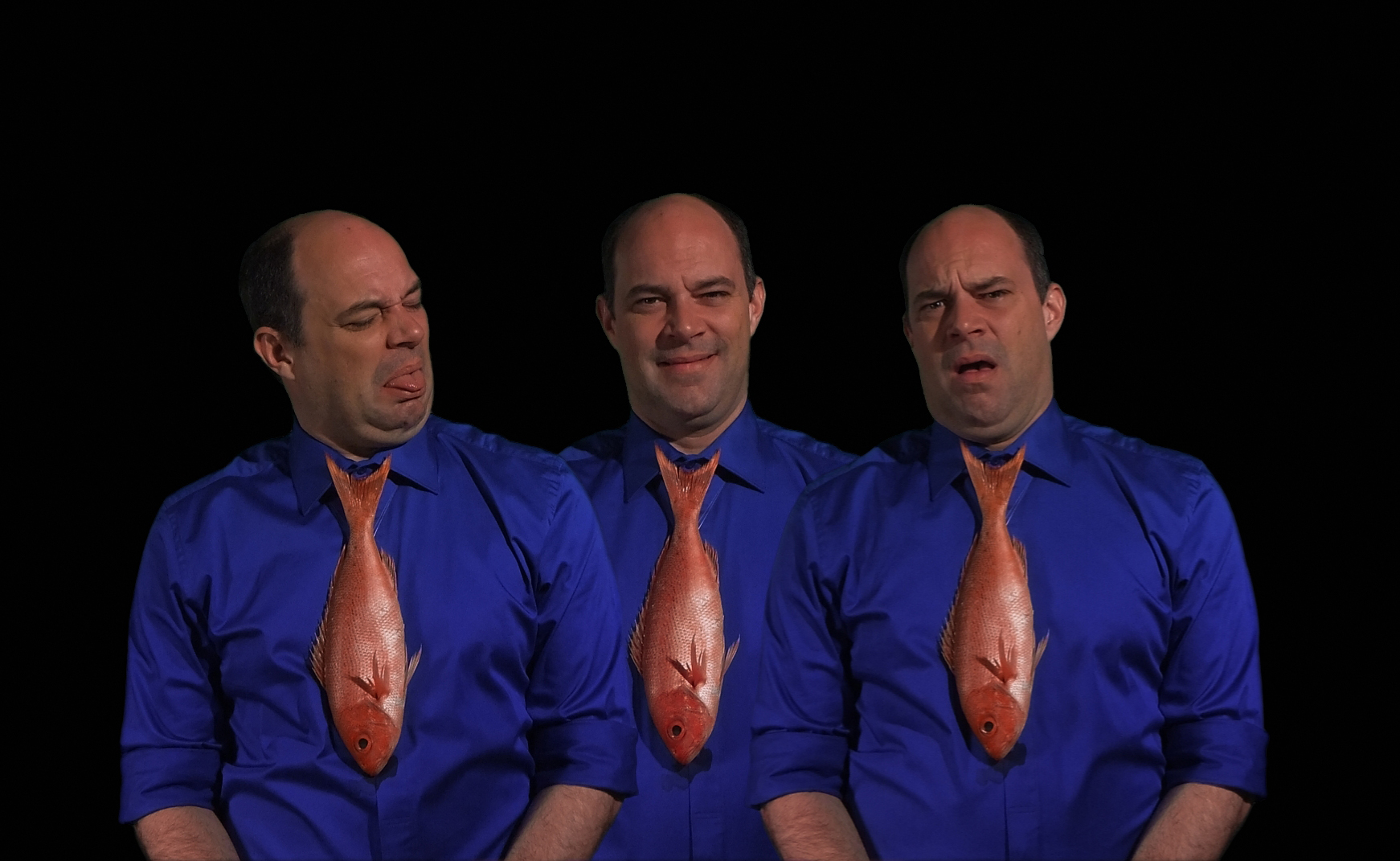 Hothouse 6 : Interoculus