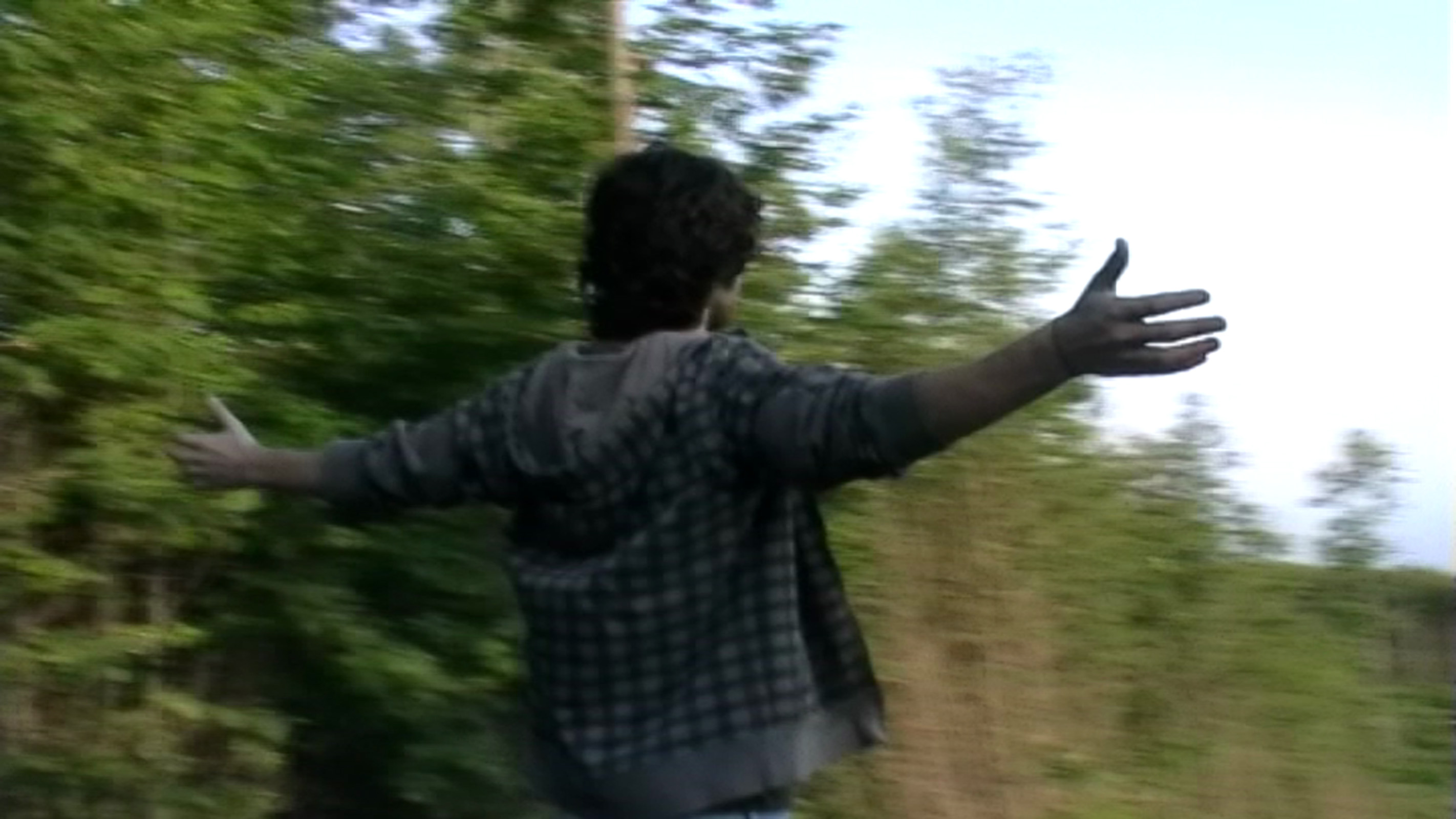 Quadri Di Un'esposizione