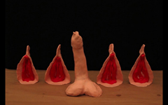 Intrige und die Archenmuschel