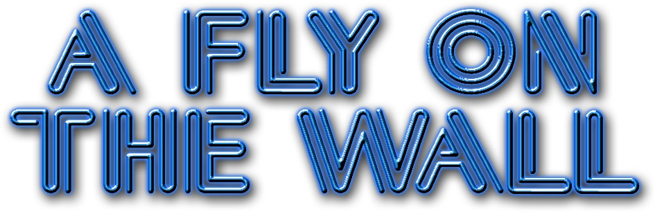 A Fly On The Wall