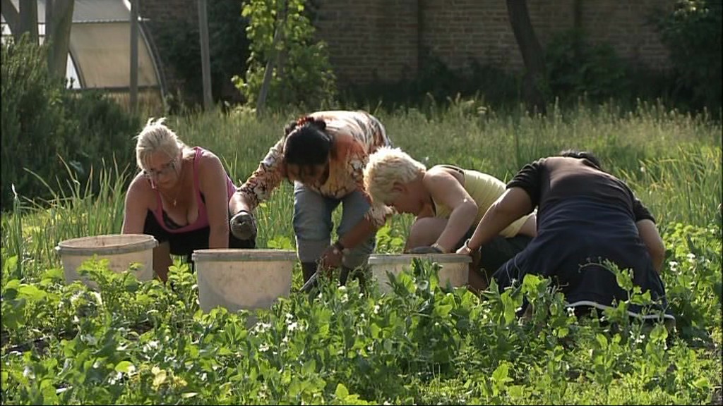 Jardin des merveilles