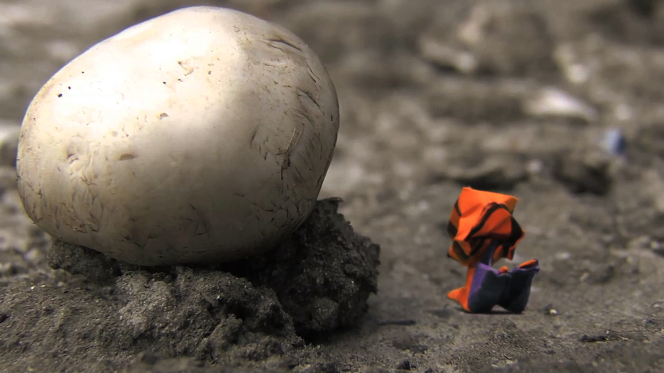 Collapsing Like A Waterbomb Base