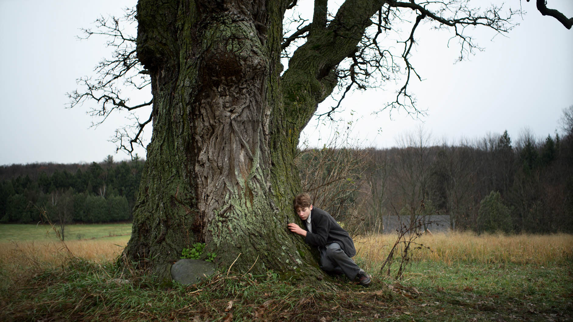 Arbre au cœur qui bat
