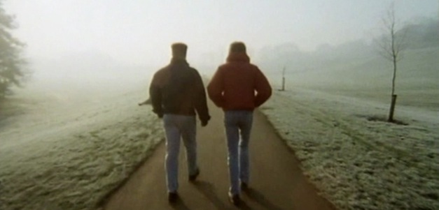 Traces of an Elephant