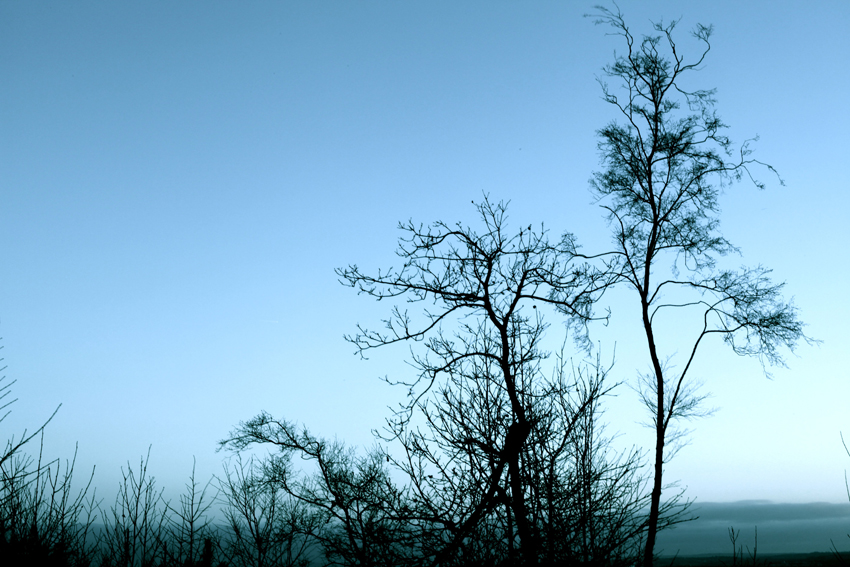 One Kind of Blue