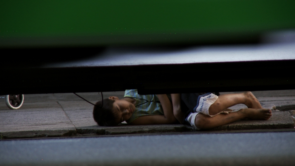 Calabazas En La Vereda
