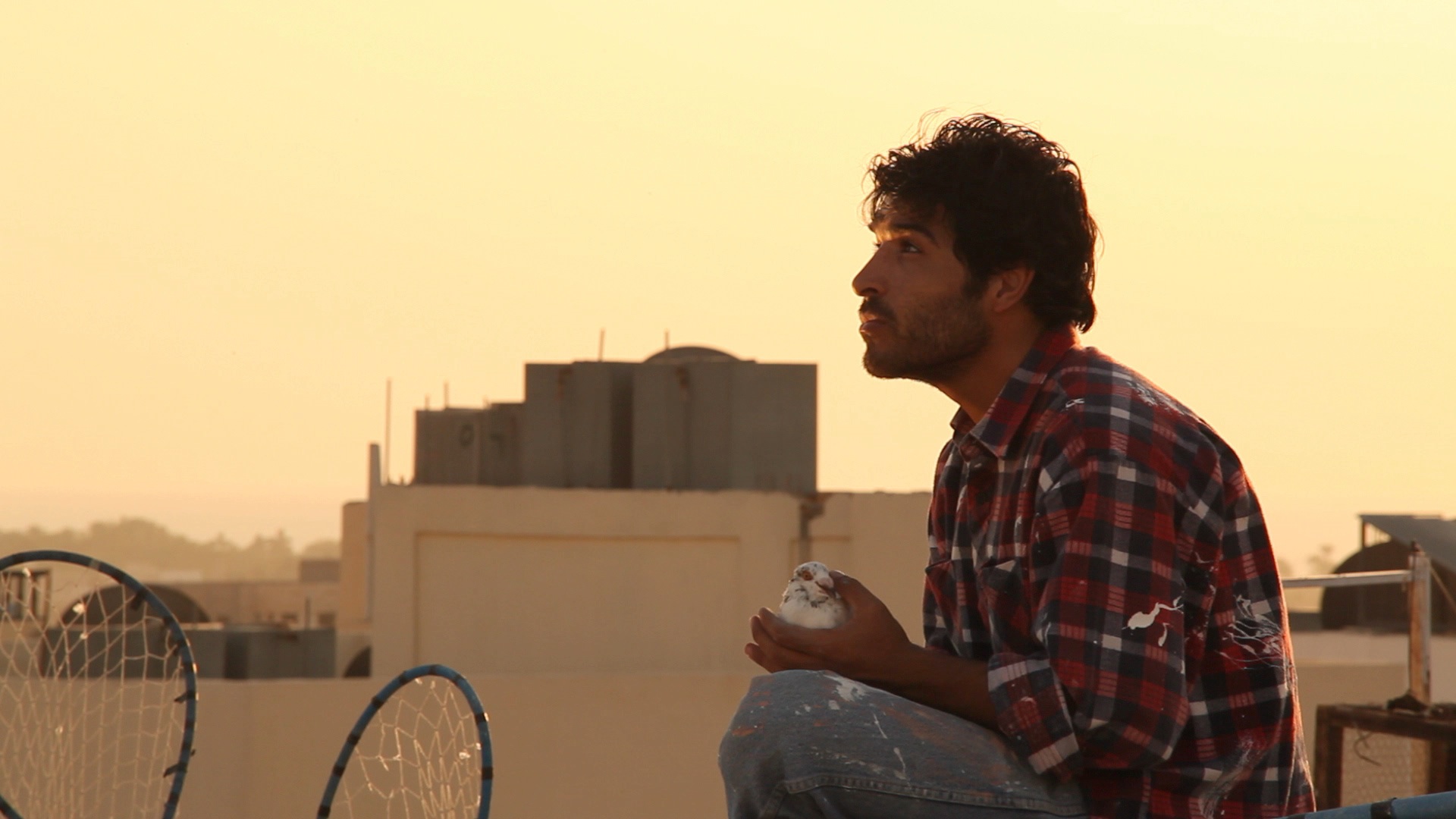 Suhail "The Pigeon Boy"