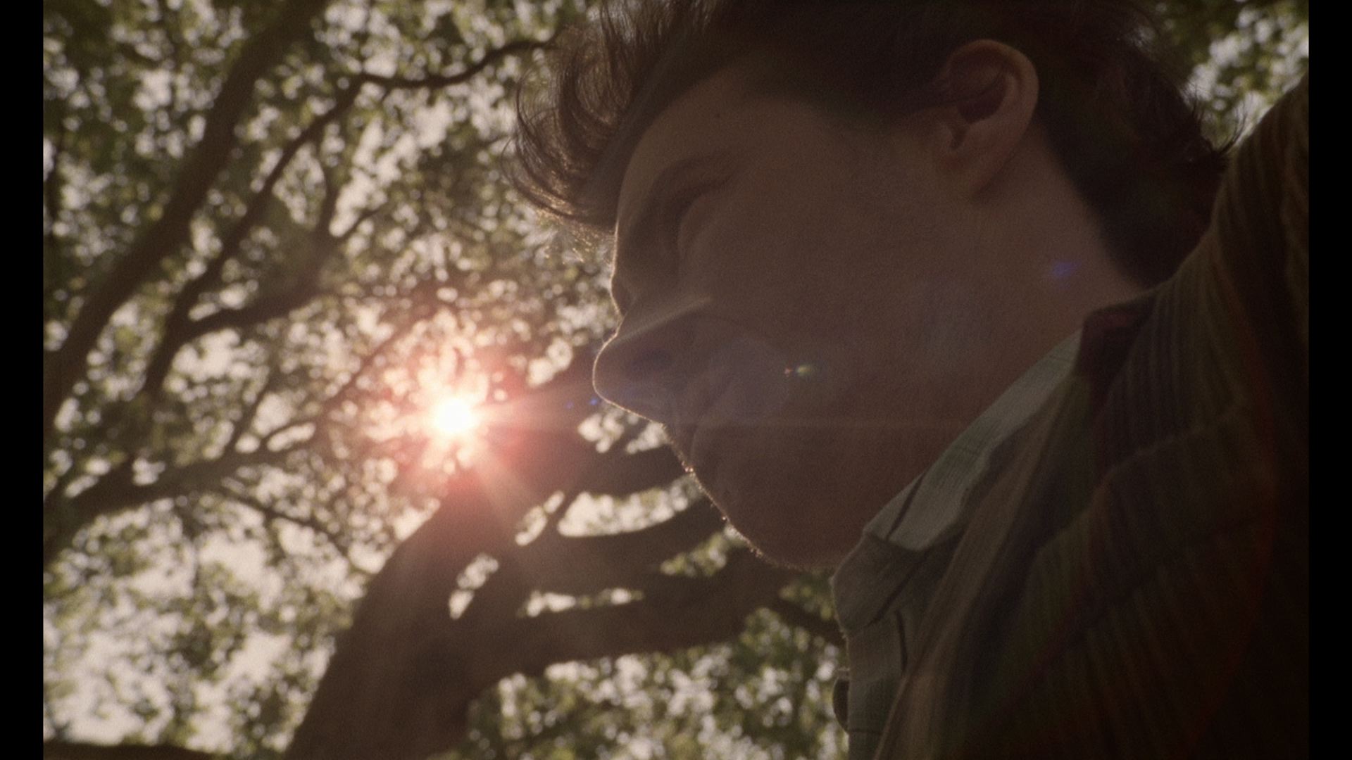 Il ne fait pas soleil