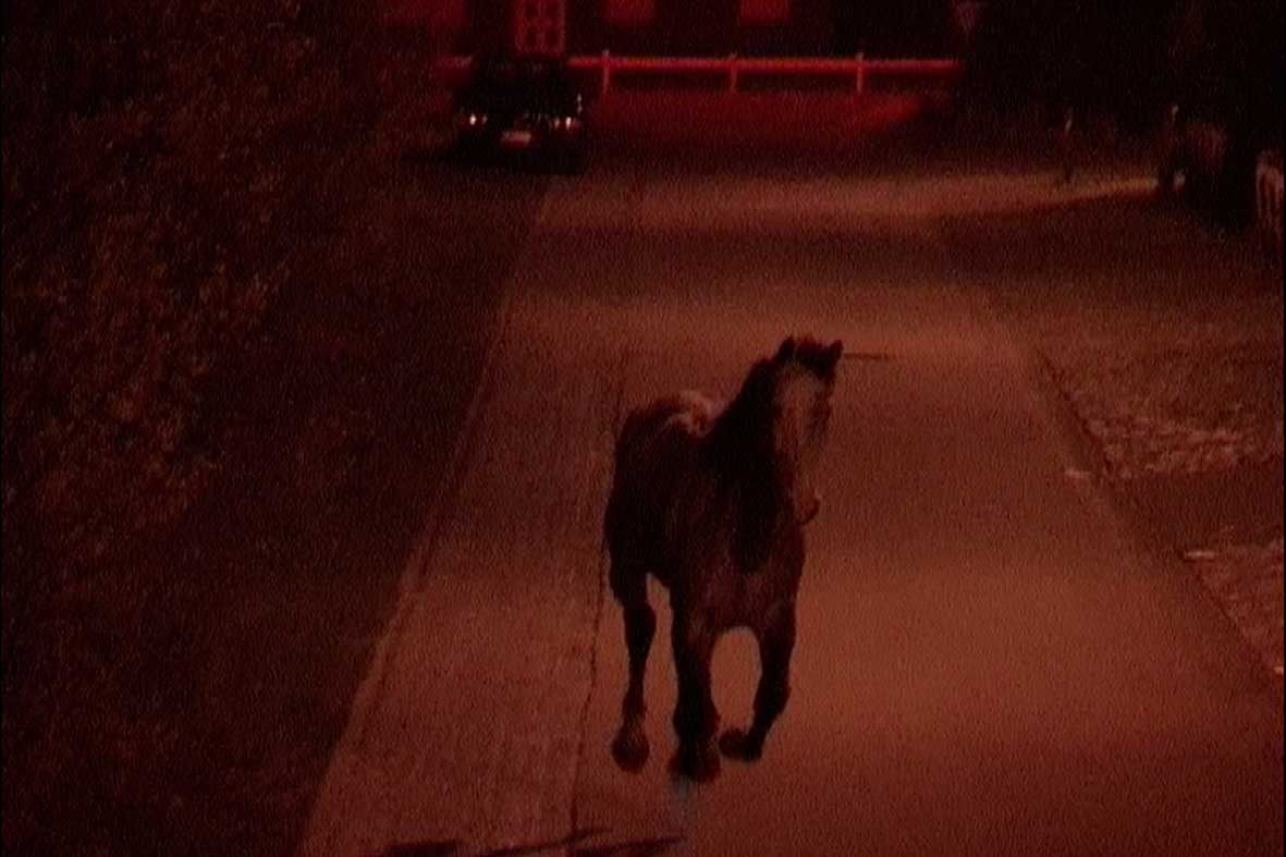 Moving, playing, not moving