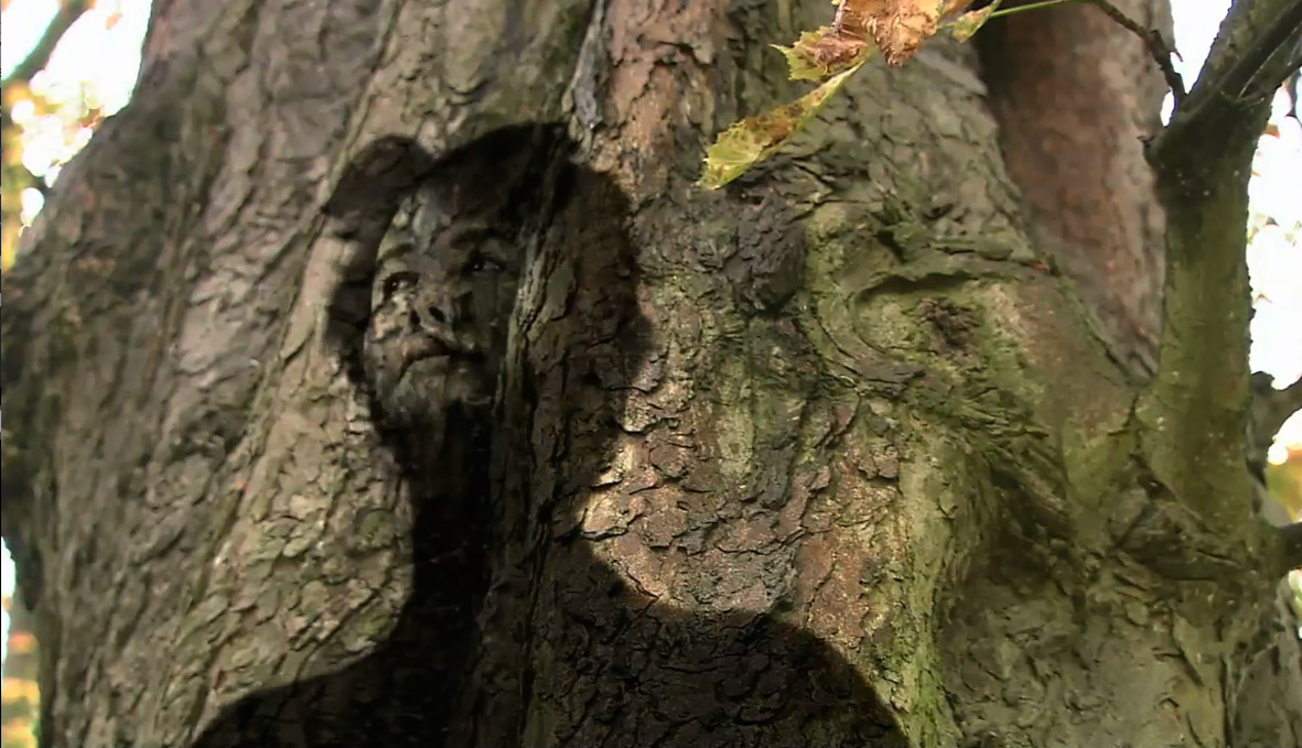 A Trick of the Light