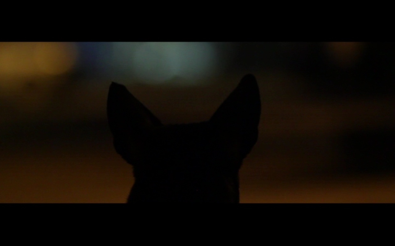 A Resident of the City