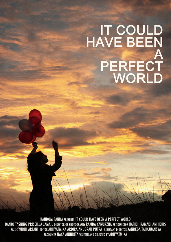 It Could Have Been A Perfect World