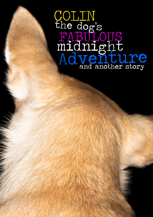 Colin the Dog's Fabulous Midnight Adventure and Another Story