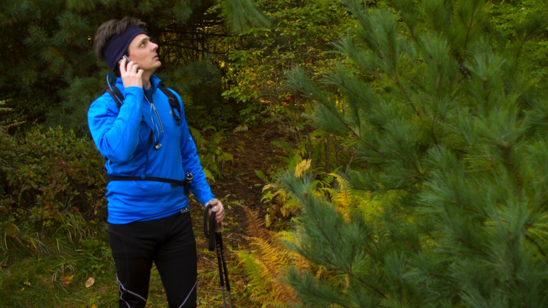 Passerine: A Bird Duet