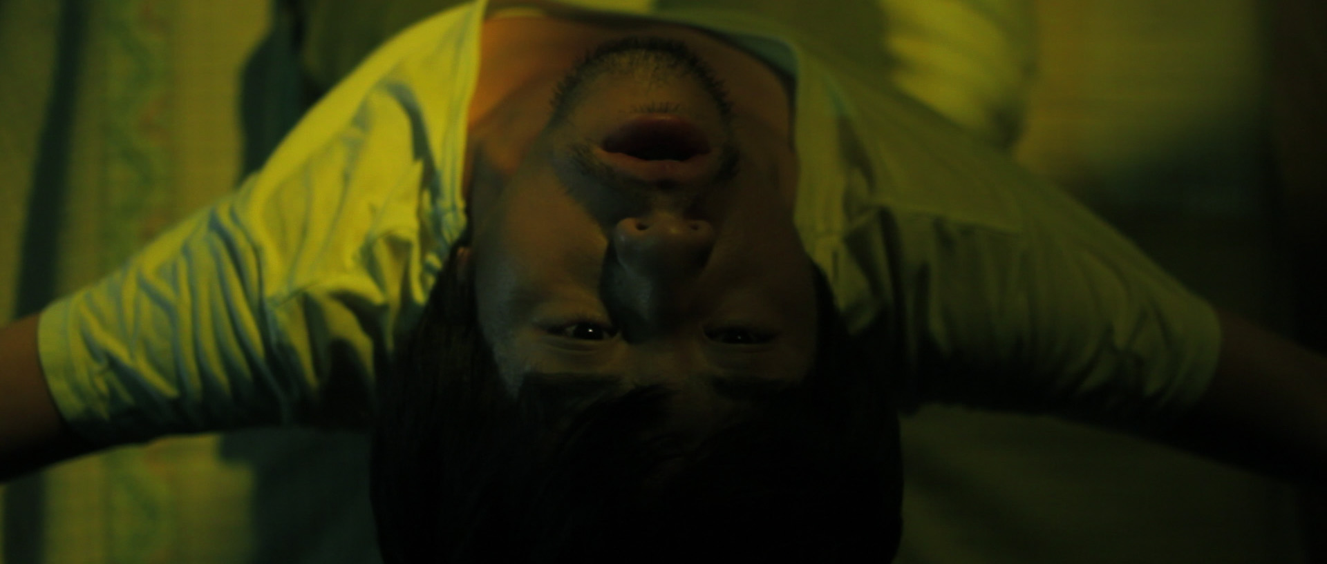 Dream the Good Dream