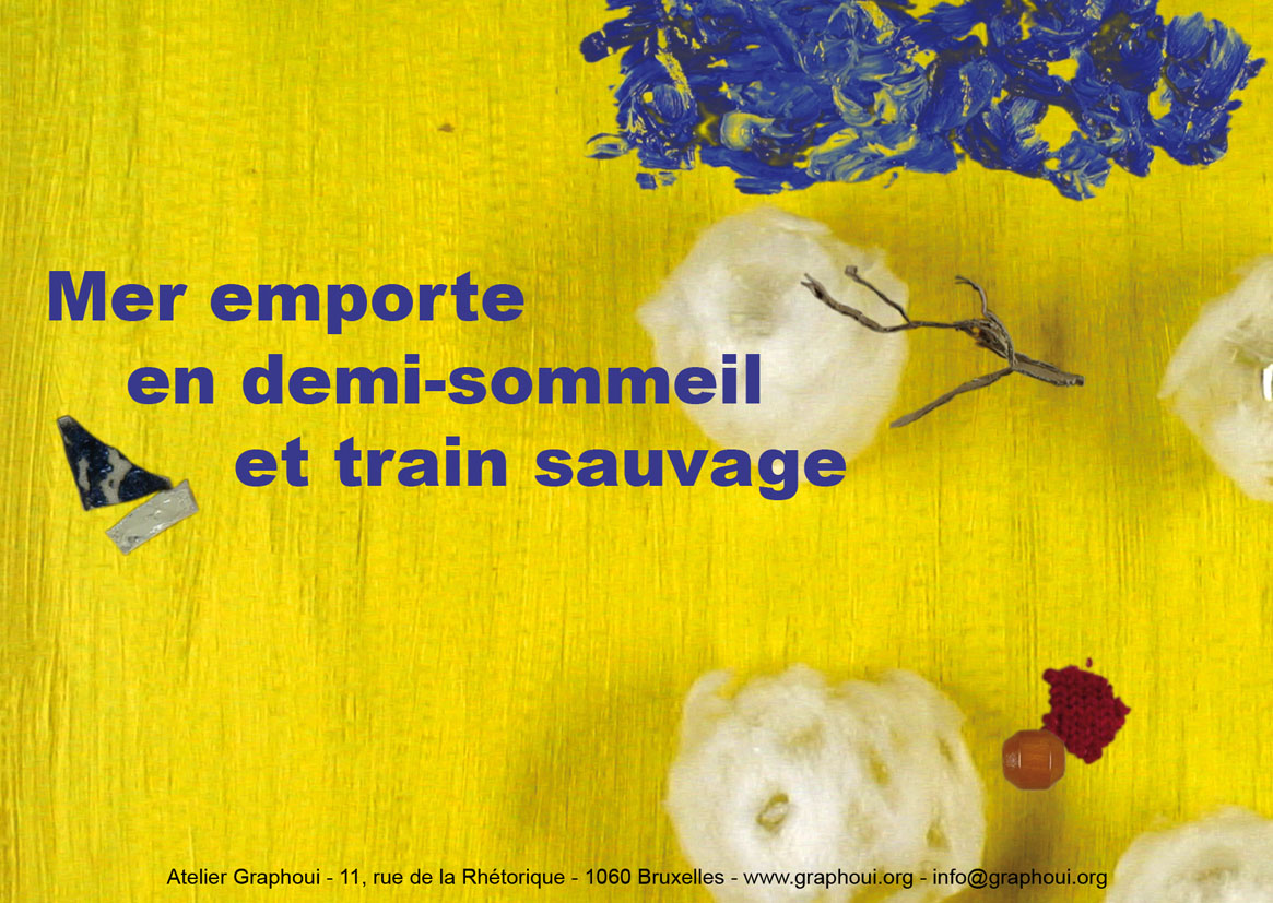 Mer Emporte En Demi-Sommeil Et Train Sauvage