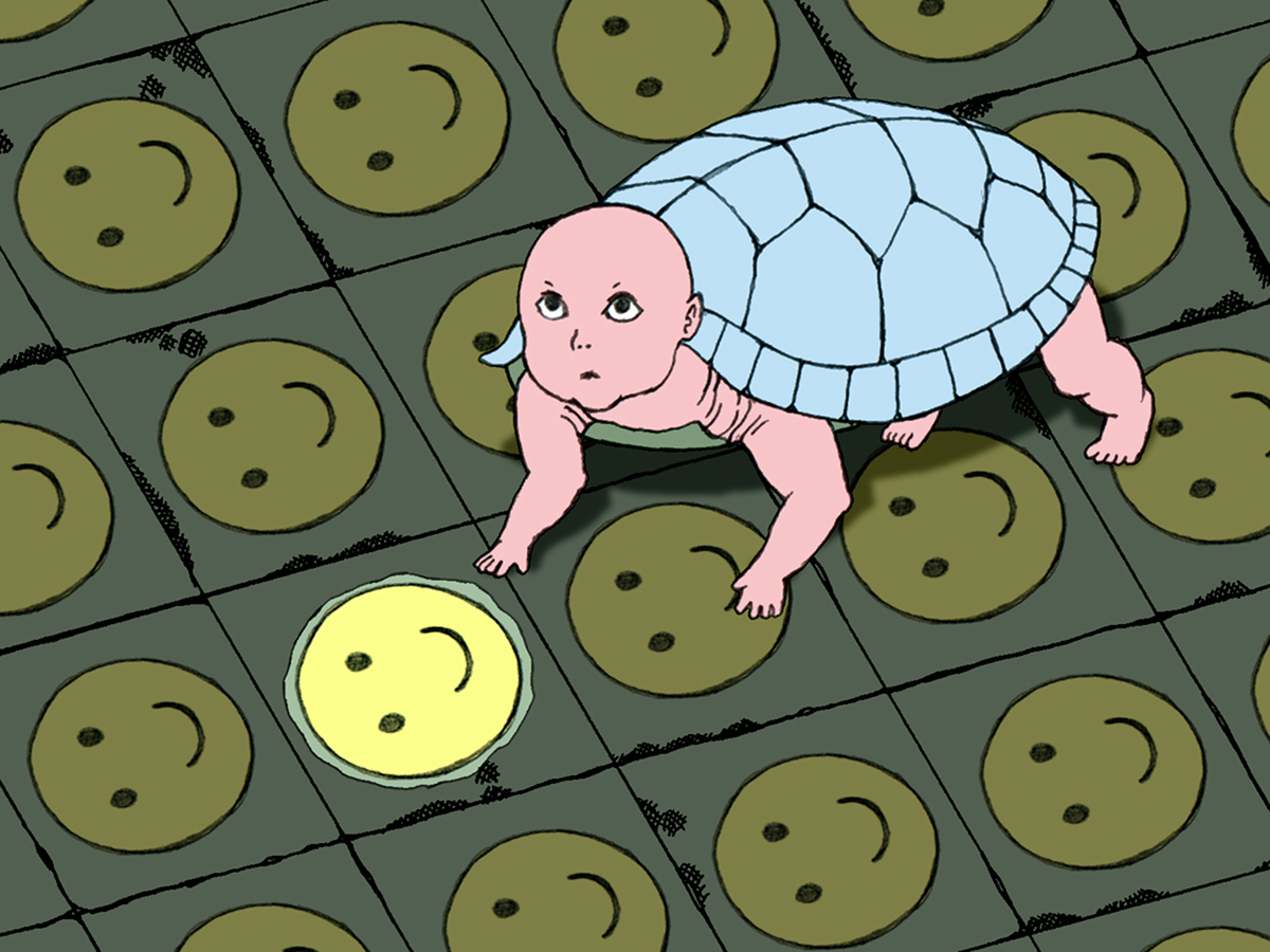 Prediction of the Tortoise's Poo