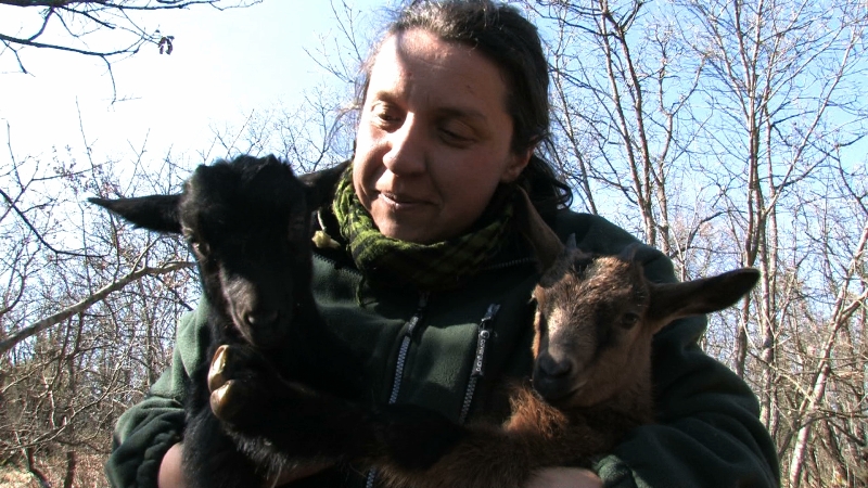 Woman Who Talks To The Animals