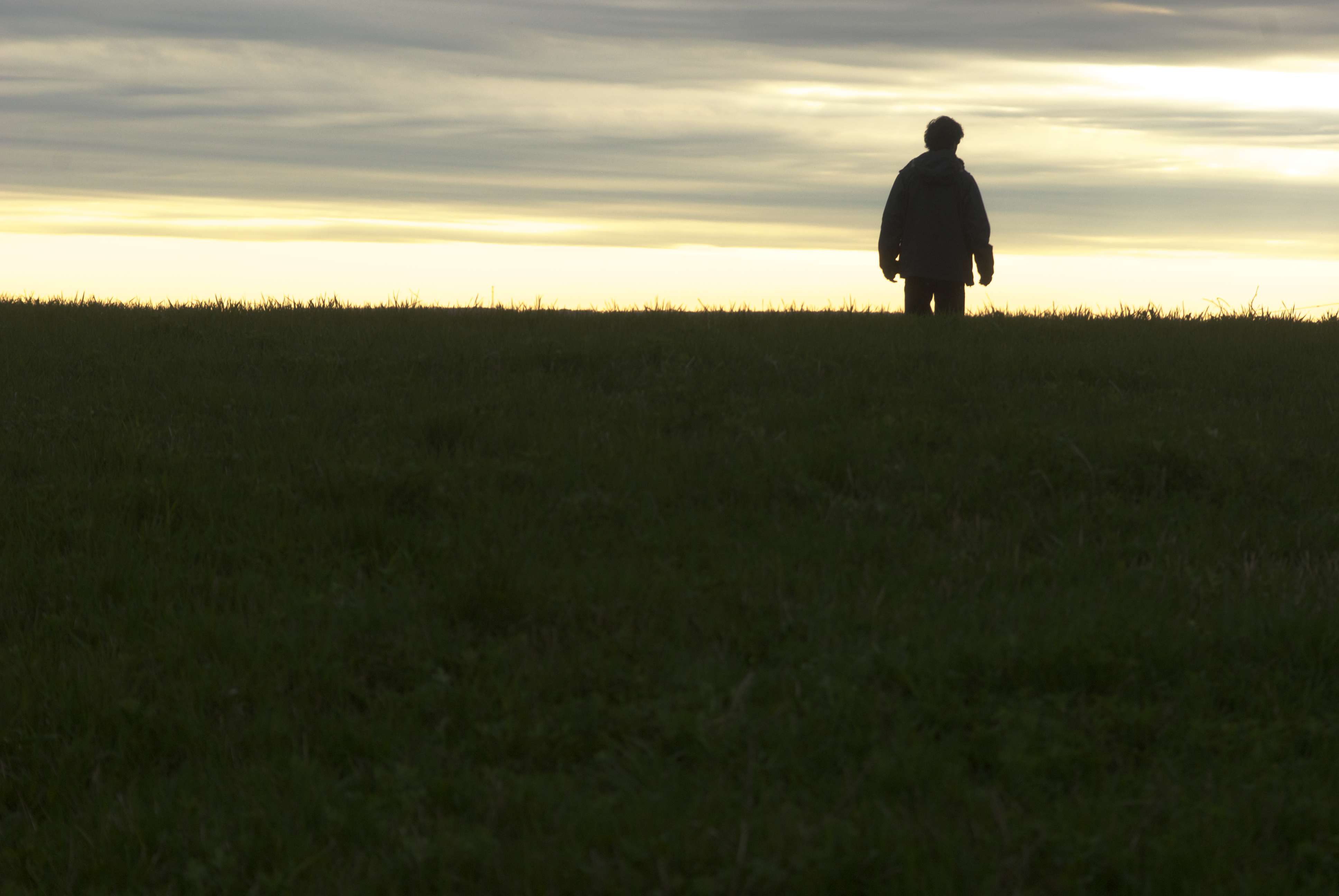 Demain j'irai dans les champs