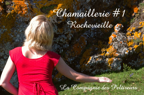 Chamaillerie #1