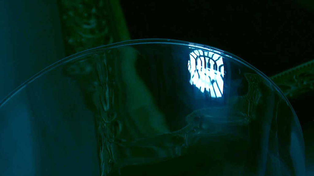 Reflets dans l'oeil du chat