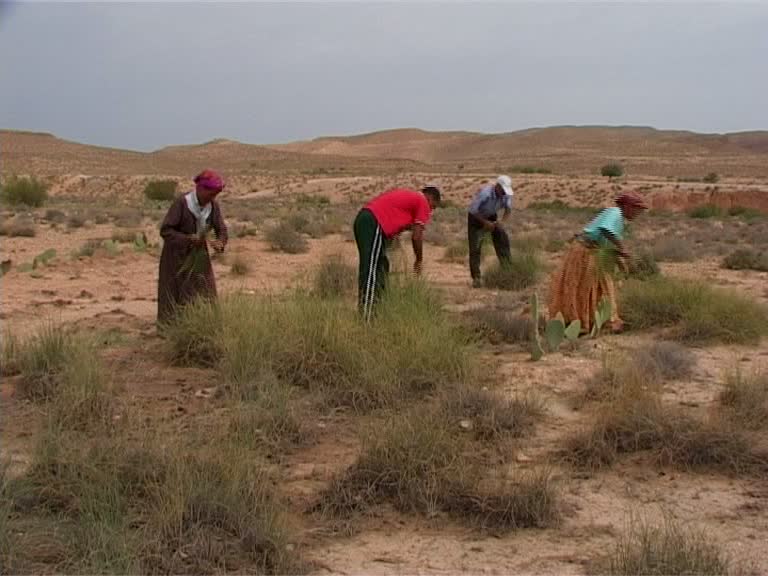 Sandales de terres