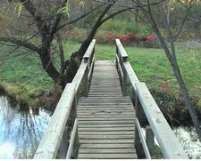 Walk