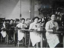 Oiseau dans la chambre