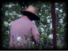 Rien que le bruit de la mère