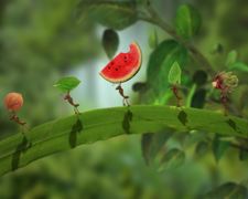 Dirouz, Emrouz, Emrouz