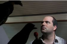 Pequenos Desencontros