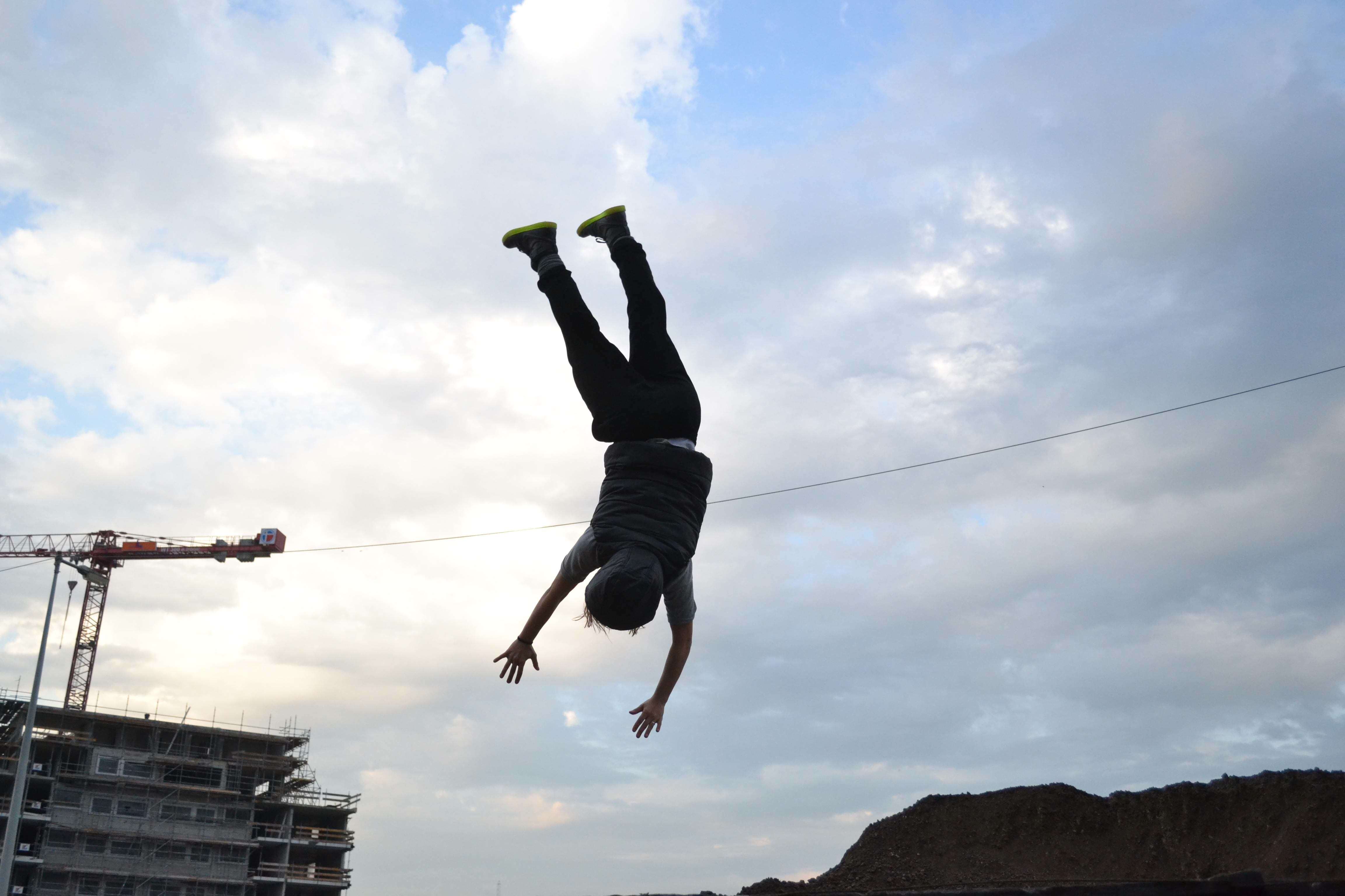 Evolutie van Soorten