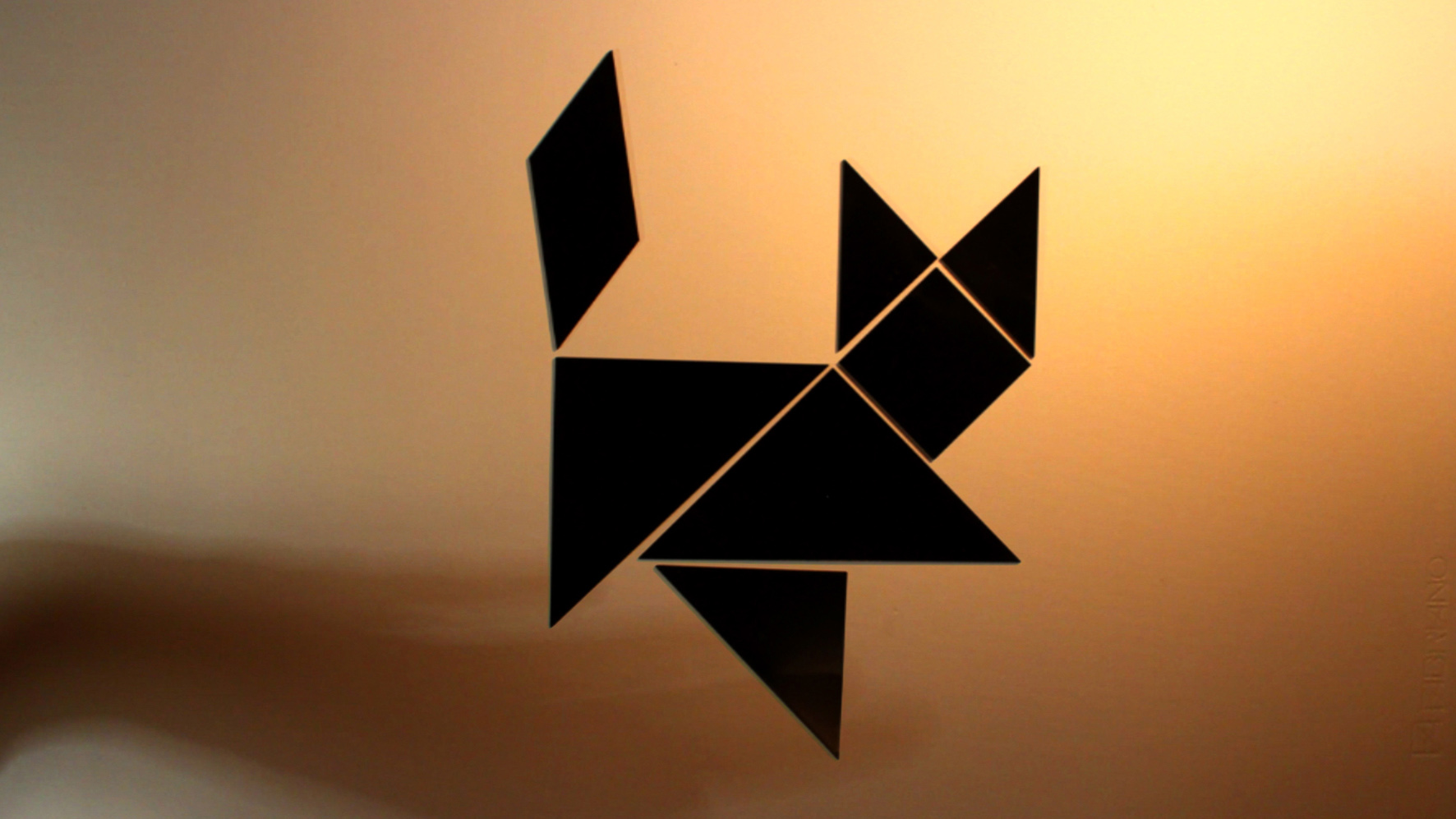 Gato baila con su sombra