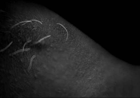 Ici, là-bas et Lisboa