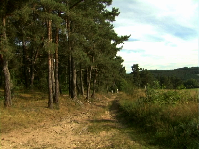 Solutions imaginaires