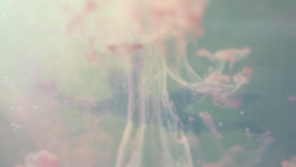 Generalnaia repeticia