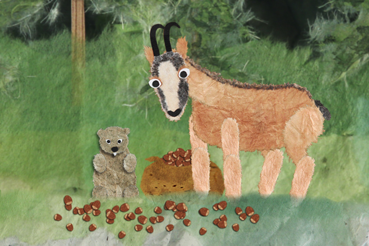 Mountain Animals "Watch Out, Chamois!"